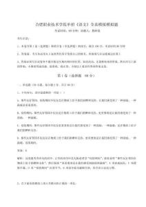 合肥職業技術學院單招《語文》全真模擬模擬題附答案詳解【典型題】