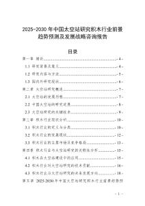 2025-2030年中國太空站研究積木行業前景趨勢預測及發展戰略咨詢報告