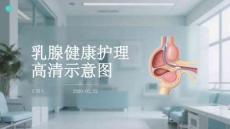 乳腺健康護理高清示意圖