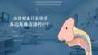 全国爱鼻日科学爱鼻远离鼻病课件 PPT