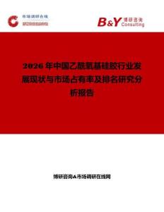 2026年中國(guó)乙酰氧基硅膠行業(yè)發(fā)展現(xiàn)狀與市場(chǎng)占有率及排名研究分析報(bào)告