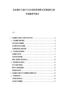 非金屬礦石選礦行業(yè)市場深度調(diào)研及發(fā)展趨勢與投資戰(zhàn)略研究報告