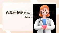 卵巢癌新靶點B7 - H4及ADC藥物GSK5733584