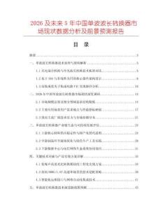 2026及未來5年中國單波波長轉換器市場現狀數據分析及前景預測報告