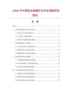 2025年中國安全觸摸開關市場調查研究報告