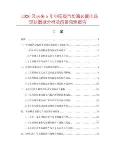 2026及未來5年中國凝汽檢漏裝置市場現狀數據分析及前景預測報告