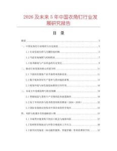 2026及未來5年中國衣角釘行業(yè)發(fā)展研究報(bào)告
