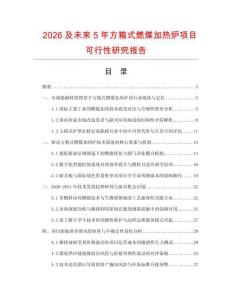 2026及未來5年方箱式燃煤加熱爐項目可行性研究報告