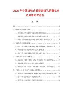 2025年中國滾輪式超精密細孔研磨機市場調查研究報告