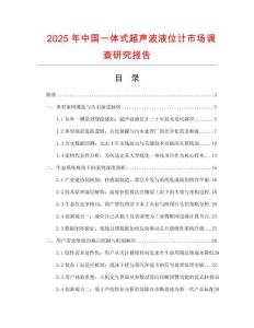 2025年中國一體式超聲波液位計市場調查研究報告
