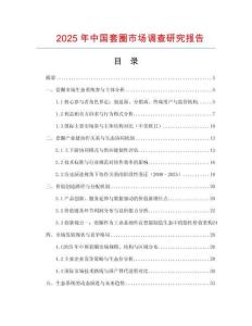 2025年中國套圈市場調查研究報告