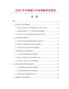 2025年中國插片市場調查研究報告