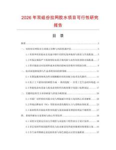 2026年雙組份拉網膠水項目可行性研究報告