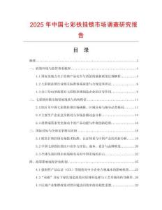2025年中國七彩鐵掛鎖市場調查研究報告