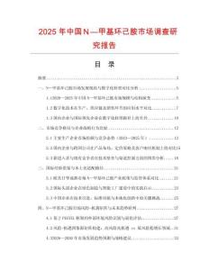 2025年中國Ｎ—甲基環己胺市場調查研究報告