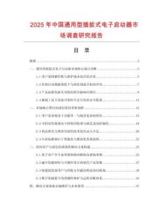 2025年中國通用型插拔式電子啟動器市場調查研究報告