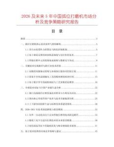 2026及未來5年中國(guó)弧位打磨機(jī)市場(chǎng)分析及競(jìng)爭(zhēng)策略研究報(bào)告