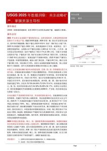 有色金屬USGS 2025年數(shù)據(jù)洞察：關注戰(zhàn)略礦產(chǎn)，掌握資源主導權(quán)