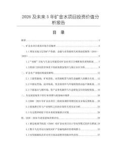 2026及未來5年礦金水項(xiàng)目投資價(jià)值分析報(bào)告