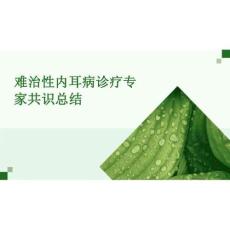 2026年醫(yī)學(xué)課件-難治性內(nèi)耳病診療專家共識總結(jié)新版