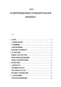 2025-2030俄羅斯智能家居制造行業供需現狀研究商業前景深度剖析報告