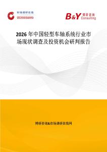 2026年中國輕型車軸系統行業(yè)市場現狀調查及投資機會研判報告