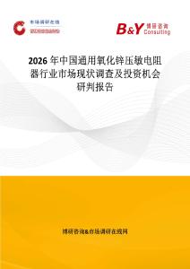 2026年中國通用氧化鋅壓敏電阻器行業(yè)市場現(xiàn)狀調(diào)查及投資機會研判報告