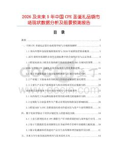 2026及未來5年中國CPE圣誕禮品袋市場現狀數據分析及前景預測報告