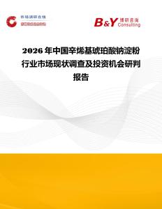 2026年中國辛烯基琥珀酸鈉淀粉行業市場現狀調查及投資機會研判報告
