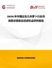 2026年中國過去幾年蘿卜行業市場現狀調查及投資機會研判報告