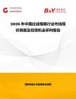2026年中國過濾煙嘴行業市場現狀調查及投資機會研判報告