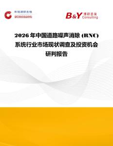 2026年中國道路噪聲消除 (RNC) 系統行業市場現狀調查及投資機會研判報告