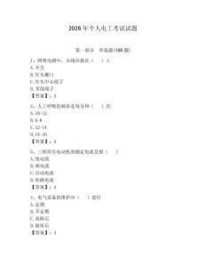 2026年个人电工考试试题及参考答案（夺分金卷）