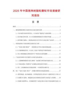 2025年中國倒角樹脂輪磨輪市場調查研究報告