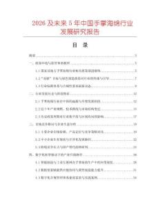 2026及未來5年中國手掌海綿行業發展研究報告