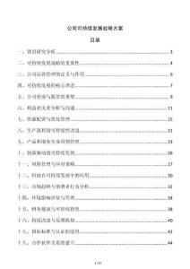 公司可持續發展戰略方案