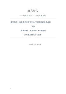2026年意义孵化白皮书-培育意义节点，共建意义文明-专知智库
