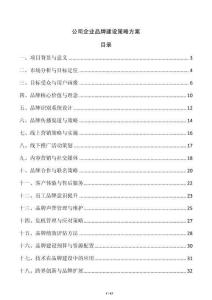 公司企業品牌建設策略方案