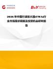 2026年中國行波放大器(TWA)行業市場現狀調查及投資機會研判報告