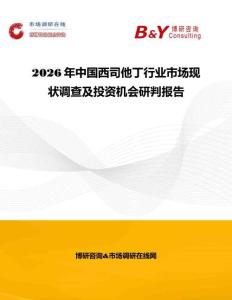 2026年中國西司他丁行業市場現狀調查及投資機會研判報告