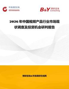2026年中国视频产品行业市场现状调查及投资机会研判报告