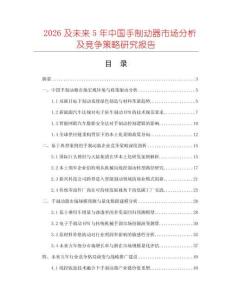 2026及未來5年中國手制動器市場分析及競爭策略研究報告