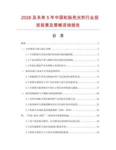 2026及未來5年中國輪胎亮光劑行業投資前景及策略咨詢報告