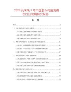 2026及未来5年中国多头电脑测微仪行业发展研究报告