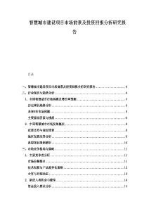 智慧城市建設項目市場前景及投資回報分析研究報告