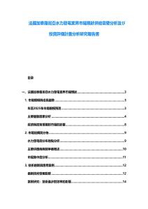 法國加泰羅尼亞水力發電業界市場現狀供給需要分析及び投資評価計畫分析研究報告書