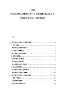 2025-2030俄羅斯石油勘探開發行業市場供需分析及公司投資風險評估規劃分析研究報告
