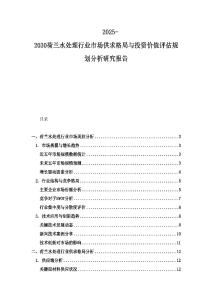 2025-2030荷蘭水處理行業市場供求格局與投資價值評估規劃分析研究報告