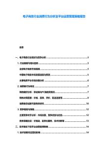 電子商務行業消費行為分析及平臺運營管理策略報告