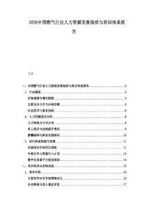 2026中國燃氣行業人力資源發展現狀與培訓體系報告